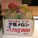 娱乐大瓜吃不停,大瓜不断来袭!