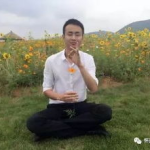 怀远交友,邂逅美好，共筑友谊桥梁