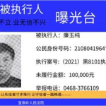 全国失信执行网被执行人查询,一键查询失信被执行人信息