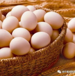 鸡蛋菜谱大全100例,100例鸡蛋菜谱大全解析