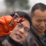 奔奔E-Star口碑-2022澳门终年料V4广州市鑫烜盛汽车贩卖办事有限公司及长安最新款车型售价是多少及空间不错安闲性凡是